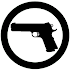 Concealed Carry Weapon Laws3.0