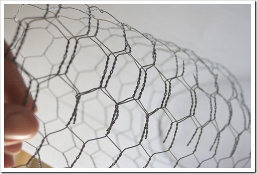 how to make a chicken wire light