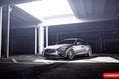 Vossen-9