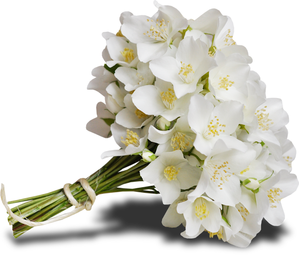 0_8129f_c185f77c_XXL%25255B1%25255D.png
