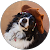 P J L P J L