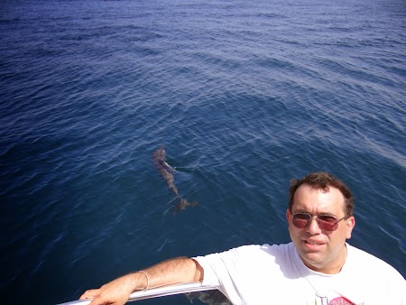 28. La doi pasi de un delfin.JPG