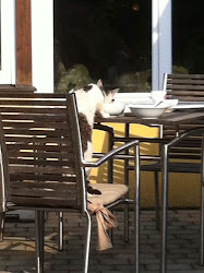Burgenland 2012 - 028