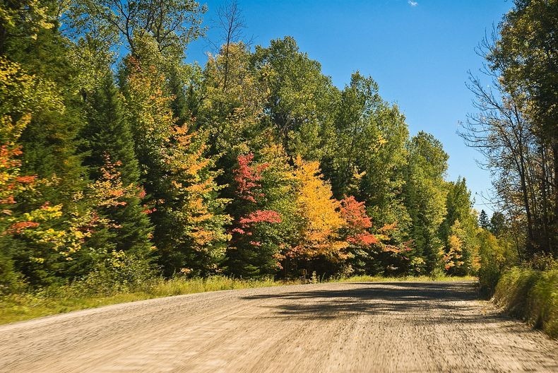 Algonquin- Park