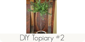DIY topiary #2