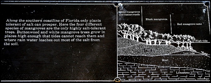 06e2 - West Lake Trail - Types of Mangroves Sign