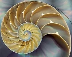 [Fibonacci01%255B2%255D.jpg]