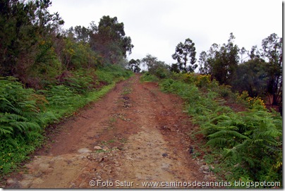 5043 Circular a Firgas-R2 5043 Circular a Firgas-R2