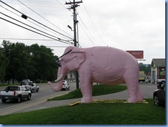 9965 Tennessee, Cookeville - Pink Elephant with giant sunglasses