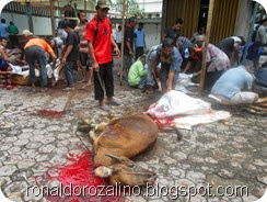 Suasana Pemotongan Hewan Kurban di Masjid Raya Kota Teluk Kuantan (26)