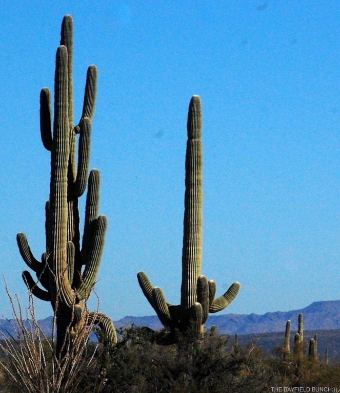 [DSC_5580%255B4%255D.jpg]