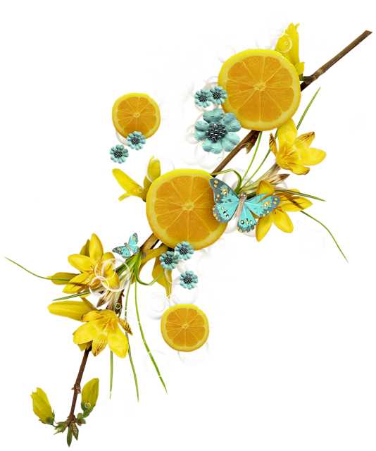 0_69a93_bc01b15e_XXL%25255B1%25255D.png