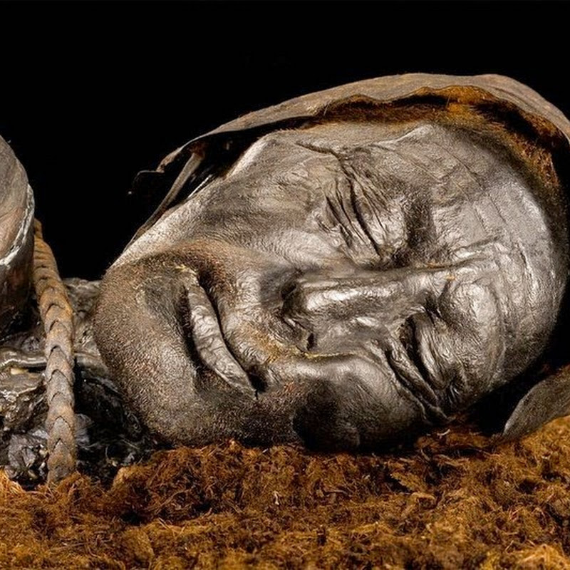 Tollund Man, The 2,400 Year Old Bog Body Amusing