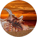 Image Google de Emmy Lorenz-alb