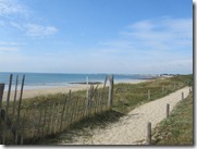 IMG_5225 IMG_5225