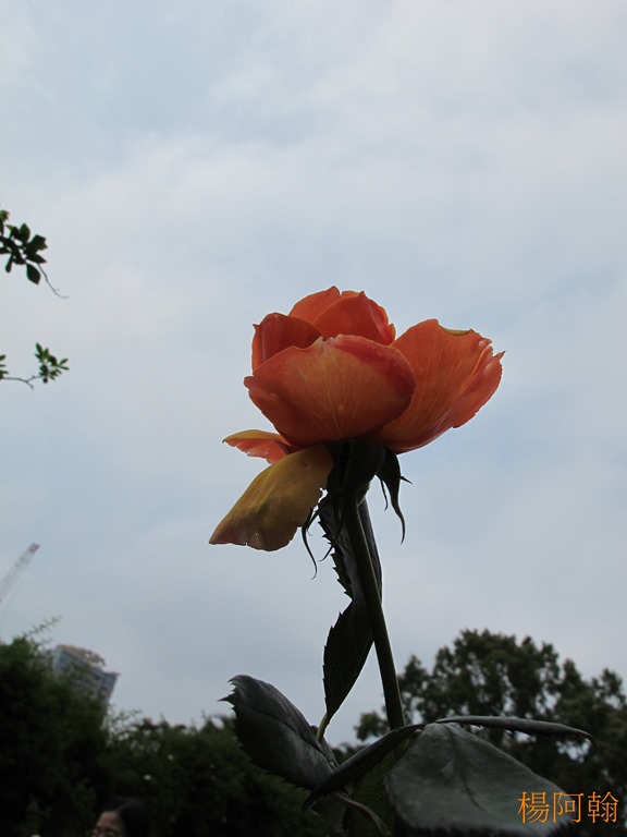 [0325-129---4.jpg]