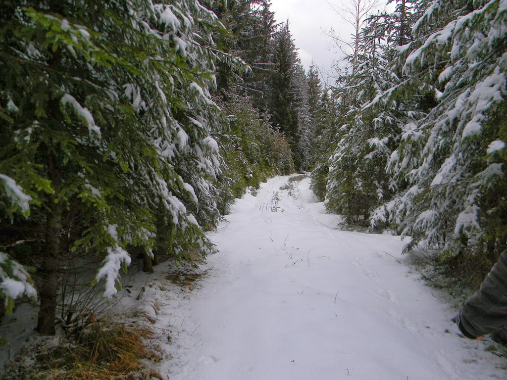 [DSCN08283.jpg]