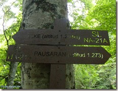 Poste indicador Elke-Pausaran - Valle de Arce