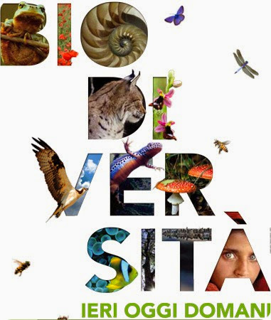 biomostra biomostra