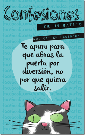 gatos confesiones gatunas cosasdivertidas (3) gatos confesiones gatunas cosasdivertidas (3)