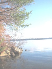 11.2011 Maine Otisfield Thompson lake1