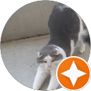 Image Google de Ginie Paw