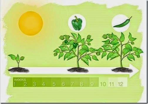 [clip_image0043.jpg]