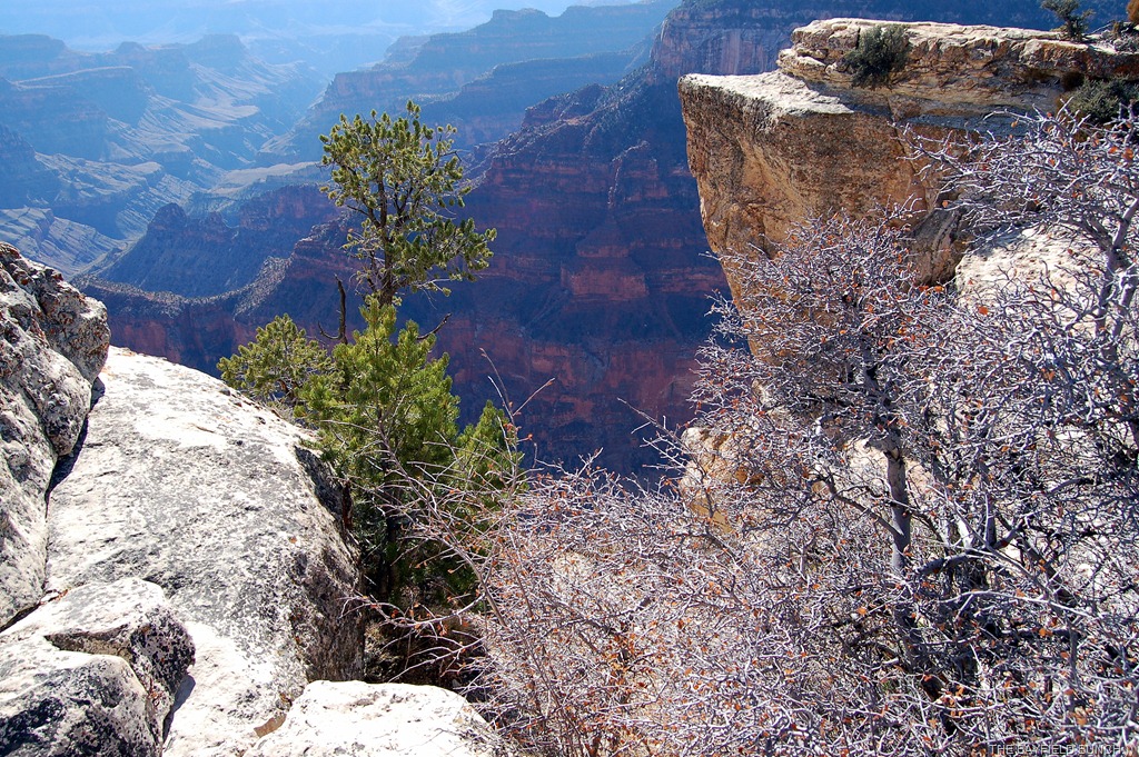 [DSC_0039%255B4%255D.jpg]