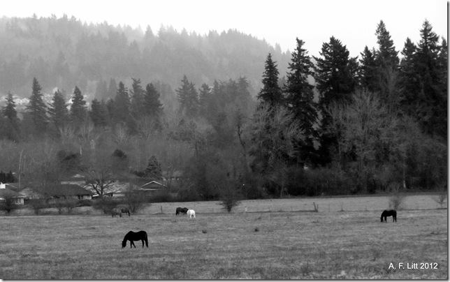 East Buttes.  Gresham, Oregon.  December 18, 2011.  Photo of the Day, March 2, 2012.