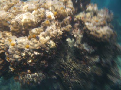 P1050332.JPG