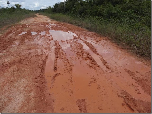 BR-319_Humaita_Manaus_Day_2_DSC05418 BR-319_Humaita_Manaus_Day_2_DSC05418