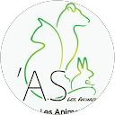 Image Google de animaux sauves