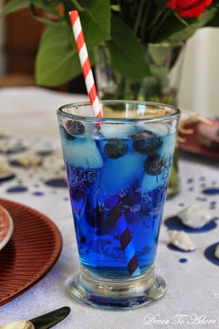 Blueberry Spritzer