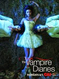 The Vampire Diaries The Vampire Diaries