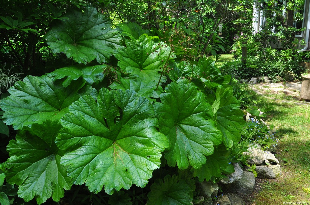 [DSC_0032%255B3%255D.jpg]