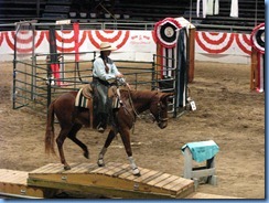 9756 Alberta Calgary Stampede 100th Anniversary - Cowboy Up Challenge Scotiabank Saddledome