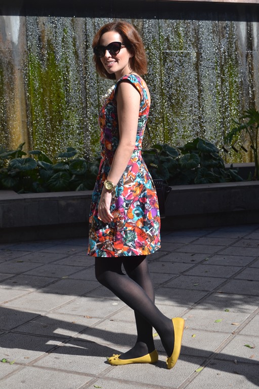 [DSC_1772%255B5%255D.jpg]