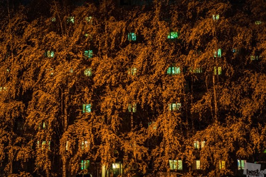 [800%252814%2529%255B2%255D.jpg]