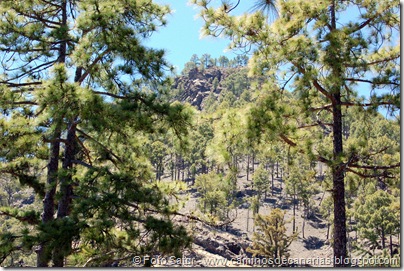 6235 Montaña Alsandara 6235 Montaña Alsandara