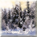 Winter Forest Live Wallpaper icon