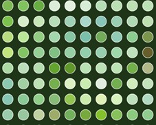 0 0