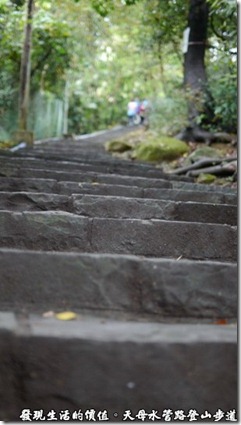 天母水管路登山步道的石階有1300多階