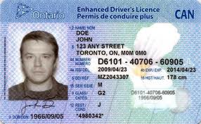 [Drivers-License3.png]