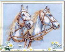 CABALLOS-BLANCOS CABALLOS-BLANCOS