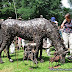 Gartentage Bellheim 2011 - Samstag Teil 1 - © info@pfalzmeister.de