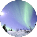 Image Google de Zuuu L