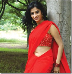 Sindhu Tolani in red saree