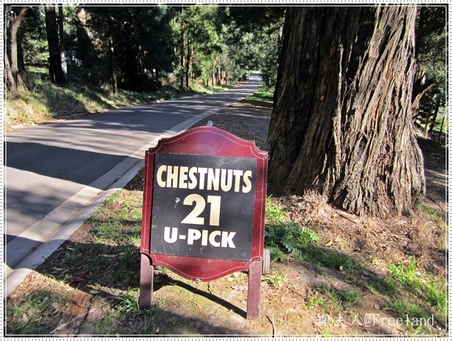 [chestnuts%255B3%255D.jpg]
