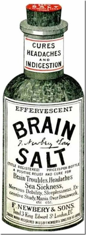 brain-salt-l