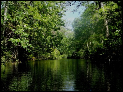 Wekiwa Springs State Park (73)A